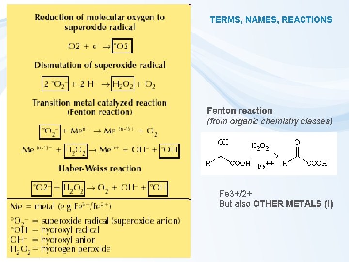TERMS, NAMES, REACTIONS Fenton reaction (from organic chemistry classes) Fe 3+/2+ But also OTHER