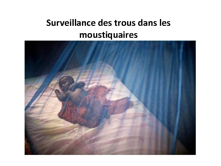 Surveillance des trous dans les moustiquaires 