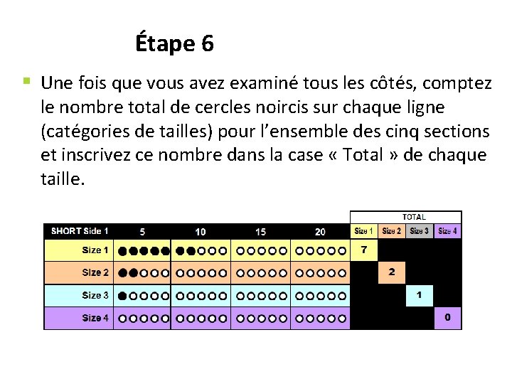 Étape 6 § Une fois que vous avez examiné tous les côtés, comptez le