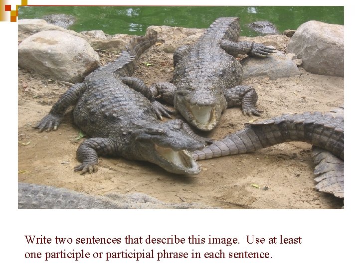 Write two sentences that describe this image. Use at least one participle or participial