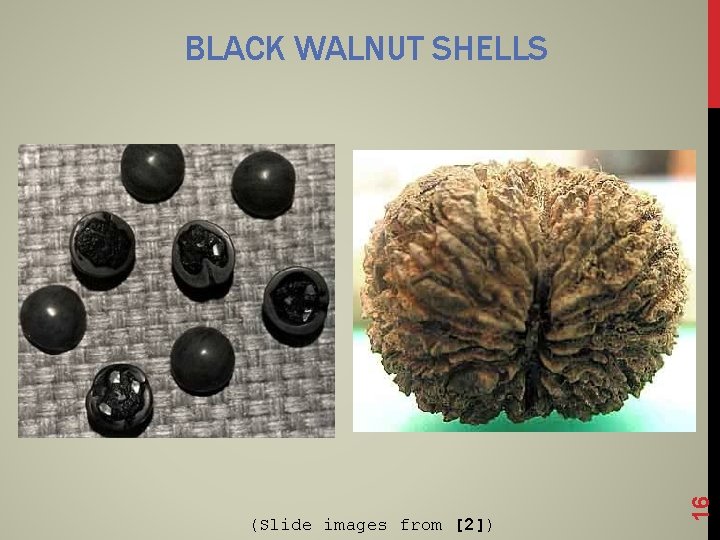 (Slide images from [2]) 16 BLACK WALNUT SHELLS 