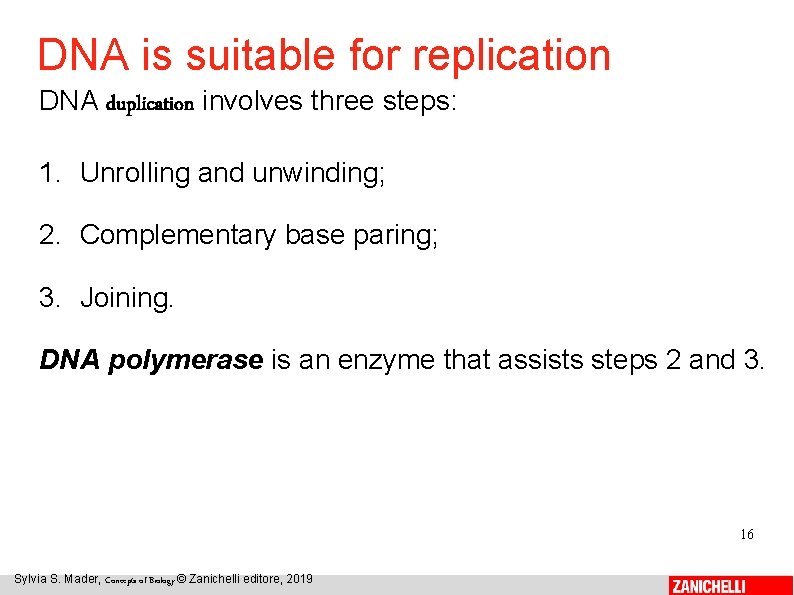 DNA is suitable for replication DNA duplication involves three steps: 1. Unrolling and unwinding;