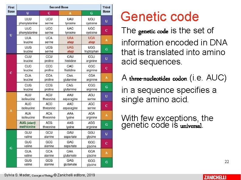 Genetic code The genetic code is the set of information encoded in DNA that