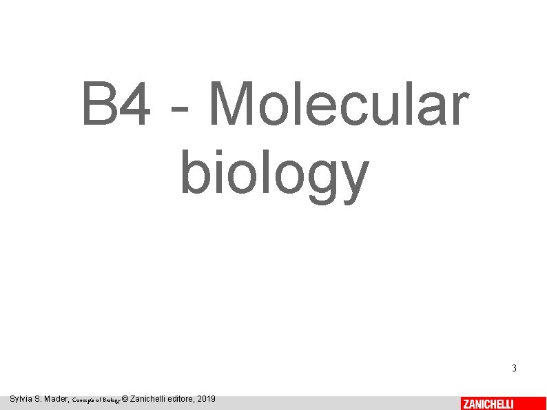 B 4 - Molecular biology 3 Sylvia S. Mader, Concepts of Biology © Zanichelli