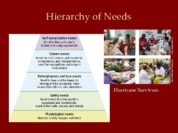 Hierarchy of Needs Joe Skipper/ Reuters/ Corbis Mario Tama/ Getty Images David Portnoy/ Getty