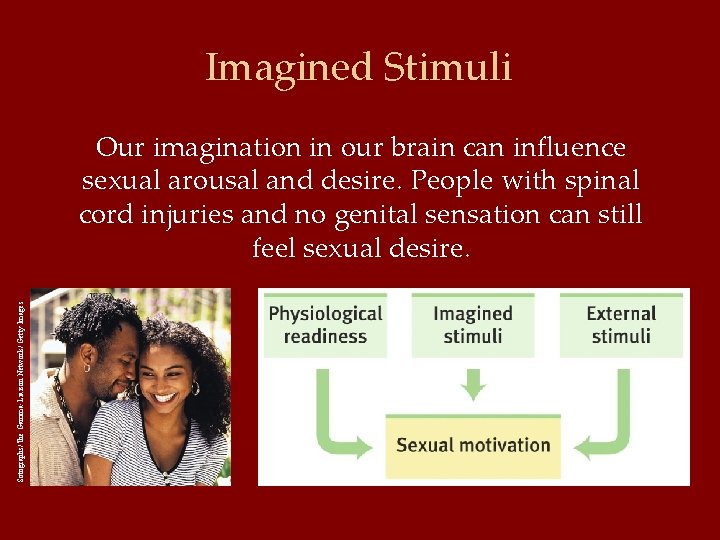 Imagined Stimuli Sotographs/The Gamma-Liaison Network/ Getty Images Our imagination in our brain can influence