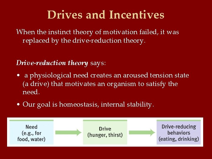 Drives and Incentives When the instinct theory of motivation failed, it was replaced by