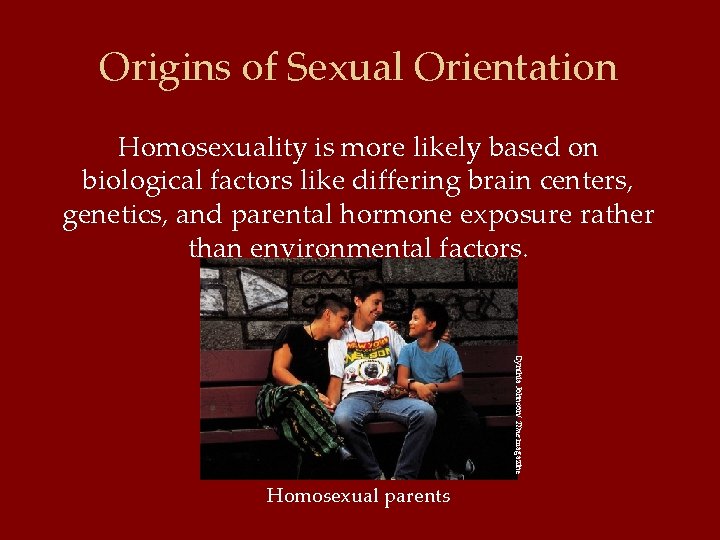 Origins of Sexual Orientation Homosexuality is more likely based on biological factors like differing