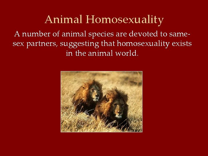 Animal Homosexuality A number of animal species are devoted to samesex partners, suggesting that