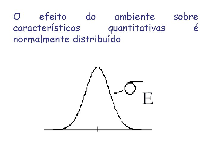 O efeito do ambiente sobre características quantitativas é normalmente distribuído 