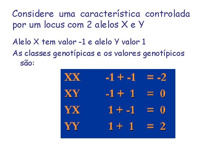 Considere uma característica controlada por um locus com 2 alelos X e Y Alelo