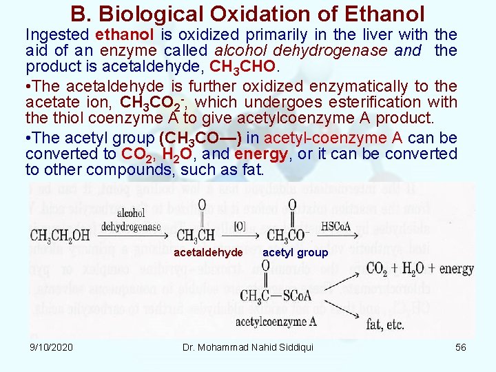 B. Biological Oxidation of Ethanol Ingested ethanol is oxidized primarily in the liver with B. Biological Oxidation of Ethanol Ingested ethanol is oxidized primarily in the liver with
