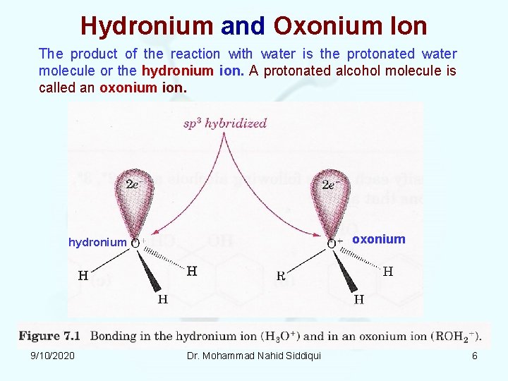 Hydronium and Oxonium Ion The product of the reaction with water is the protonated Hydronium and Oxonium Ion The product of the reaction with water is the protonated