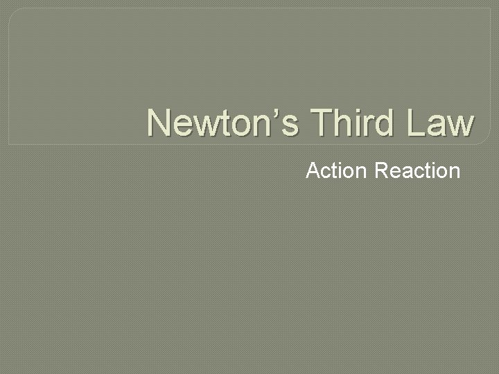 Newton’s Third Law Action Reaction 