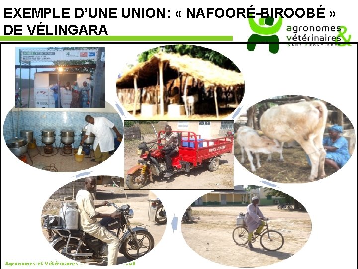 EXEMPLE D’UNE UNION: « NAFOORÉ-BIROOBÉ » DE VÉLINGARA Agronomes et Vétérinaires sans frontières 2008