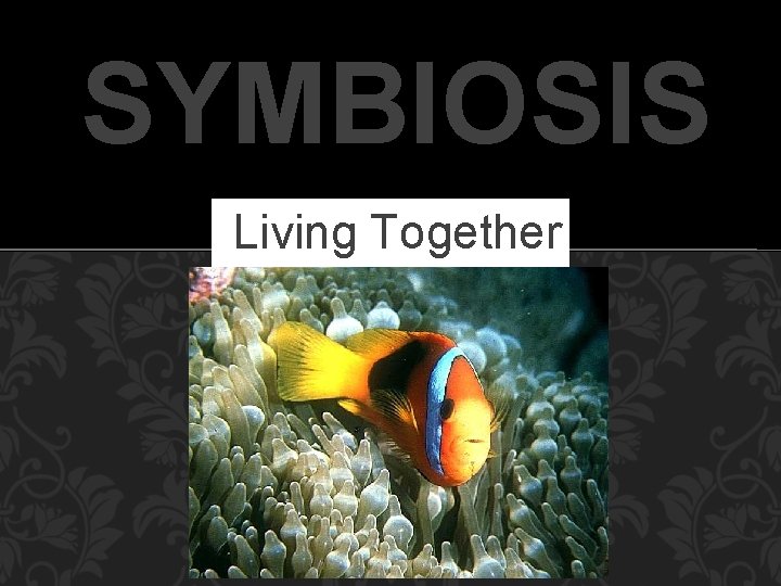 SYMBIOSIS Living Together 