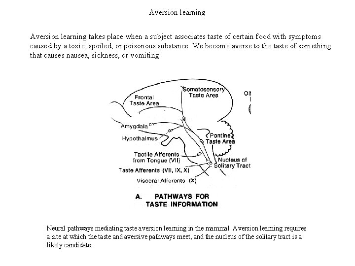 Aversion learning takes place when a subject associates taste of certain food with symptoms