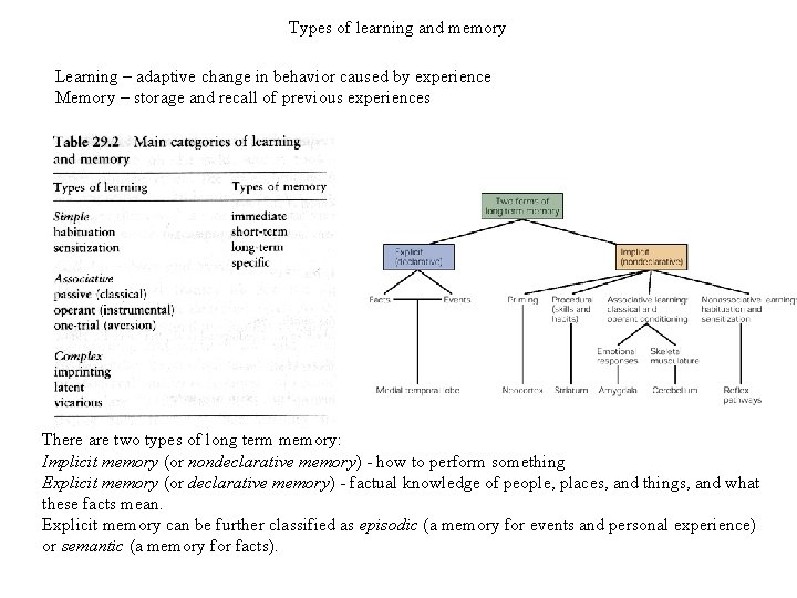 Types of learning and memory Learning – adaptive change in behavior caused by experience