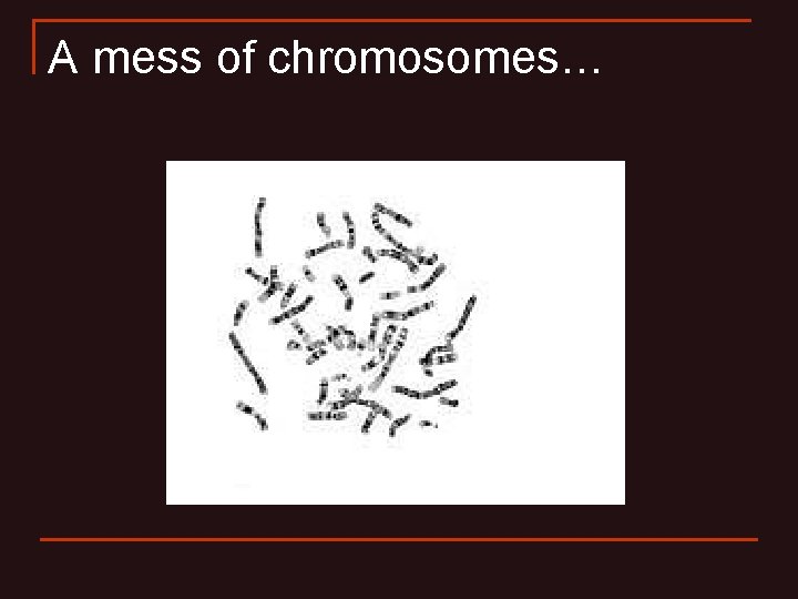 A mess of chromosomes… A mess of chromosomes…