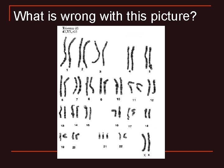 What is wrong with this picture? What is wrong with this picture?