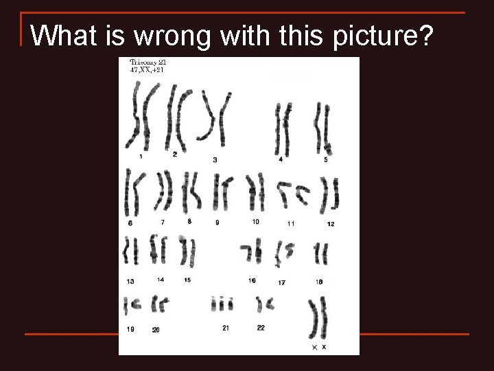 What is wrong with this picture? What is wrong with this picture?