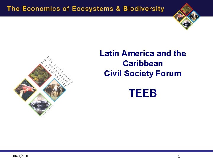 Latin America and the Caribbean Civil Society Forum TEEB ll 10/28/2020 ll ll 1