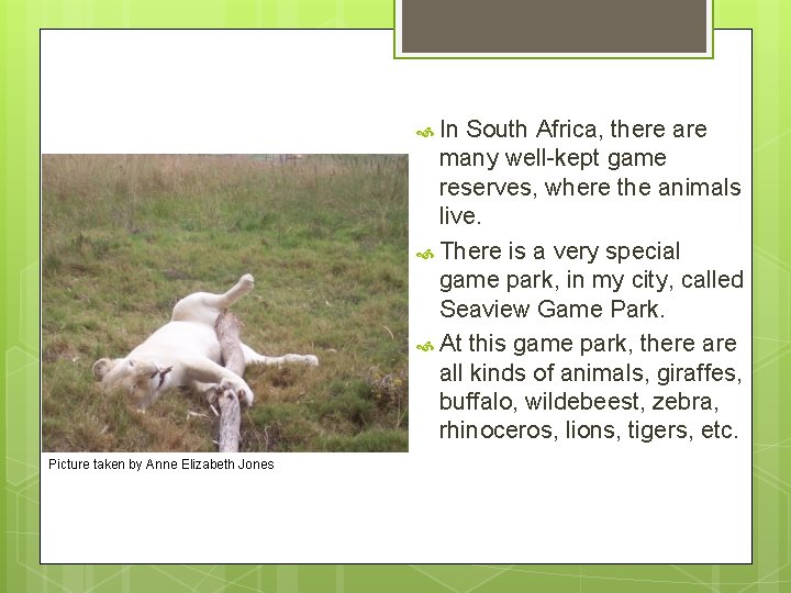  In South Africa, there are many well-kept game reserves, where the animals live.