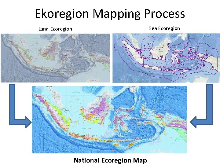 Ekoregion Mapping Process Sea Ecoregion Land Ecoregion National Ecoregion Map Ekoregion Mapping Process Sea Ecoregion Land Ecoregion National Ecoregion Map