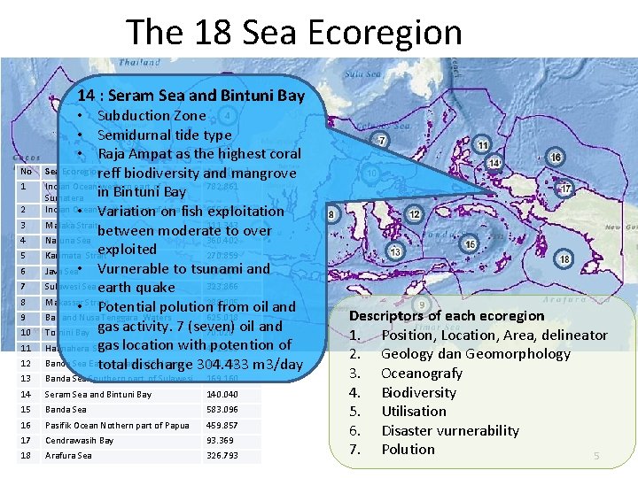 The 18 Sea Ecoregion 14 : Seram Sea and Bintuni Bay No 1 2 The 18 Sea Ecoregion 14 : Seram Sea and Bintuni Bay No 1 2