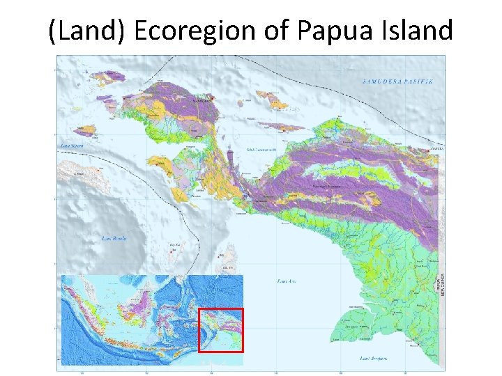 (Land) Ecoregion of Papua Island (Land) Ecoregion of Papua Island