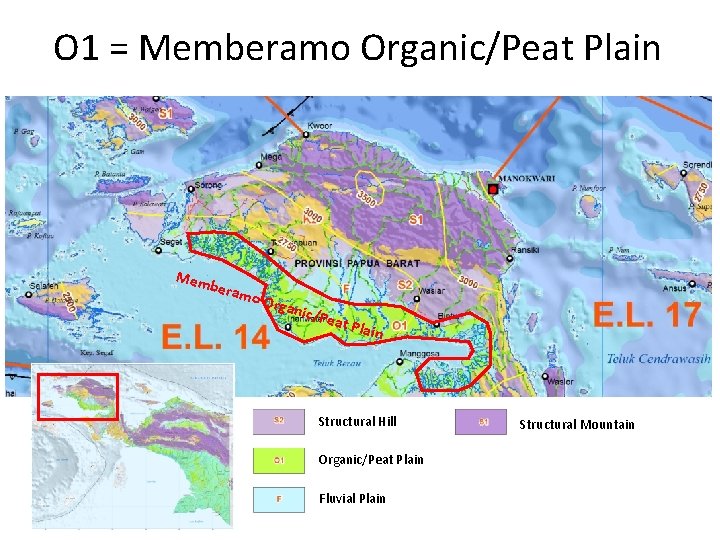 O 1 = Memberamo Organic/Peat Plain Mem bera m o Org anic/ Peat Plain O 1 = Memberamo Organic/Peat Plain Mem bera m o Org anic/ Peat Plain