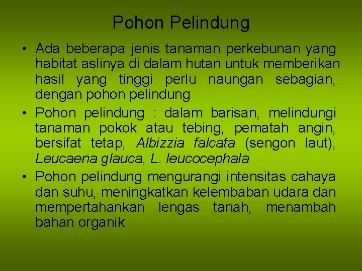 Pohon Pelindung • Ada beberapa jenis tanaman perkebunan yang habitat aslinya di dalam hutan