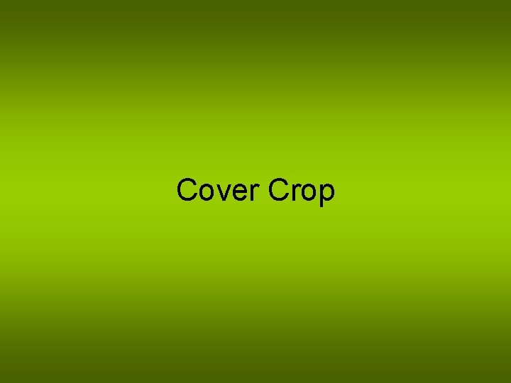 Cover Crop 