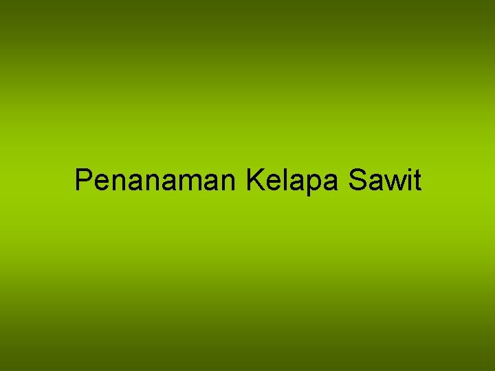 Penanaman Kelapa Sawit 
