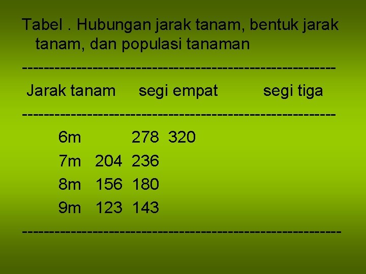 Tabel. Hubungan jarak tanam, bentuk jarak tanam, dan populasi tanaman -----------------------------Jarak tanam segi empat