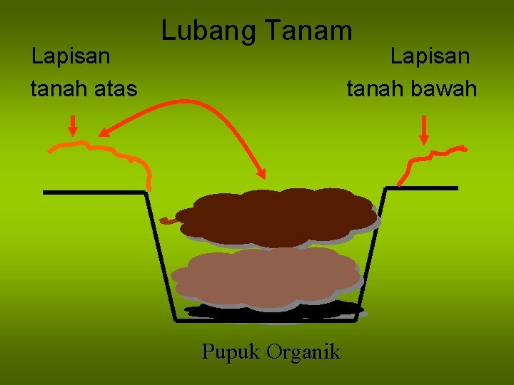 Lapisan tanah atas Lubang Tanam Lapisan tanah bawah Pupuk Organik 