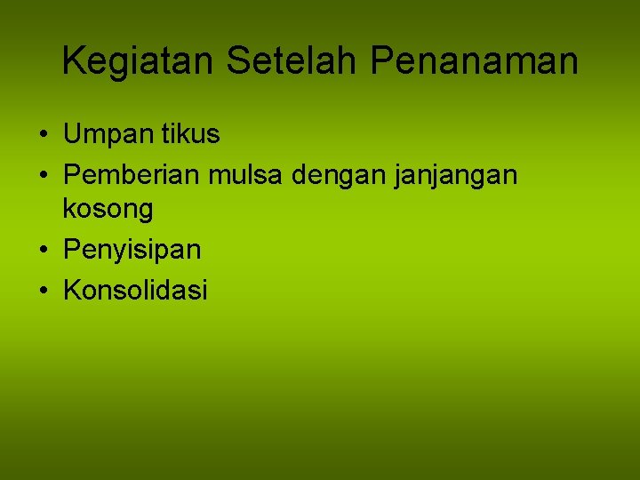 Kegiatan Setelah Penanaman • Umpan tikus • Pemberian mulsa dengan janjangan kosong • Penyisipan