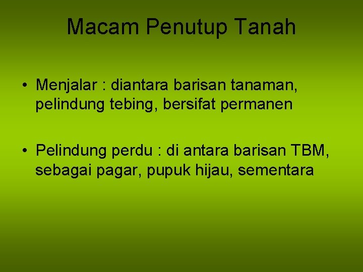 Macam Penutup Tanah • Menjalar : diantara barisan tanaman, pelindung tebing, bersifat permanen •