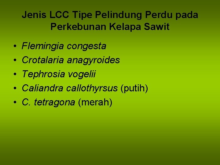 Jenis LCC Tipe Pelindung Perdu pada Perkebunan Kelapa Sawit • • • Flemingia congesta