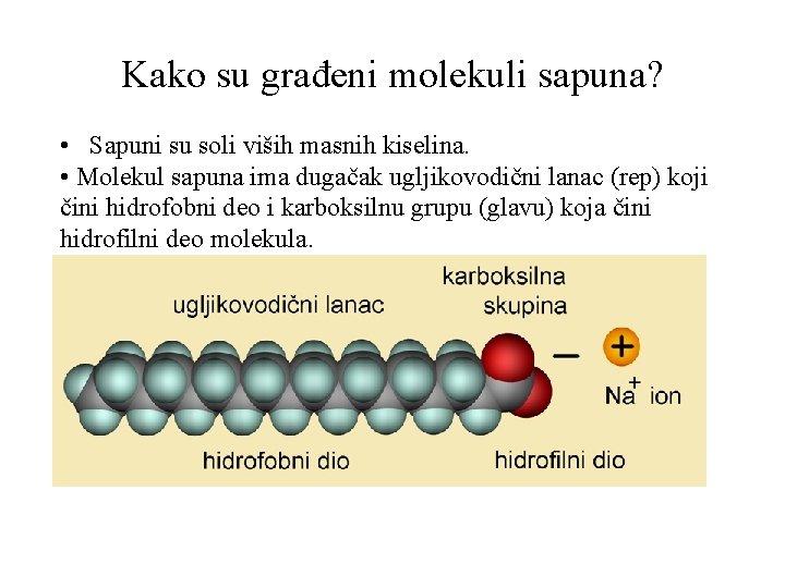 Kako su građeni molekuli sapuna? • Sapuni su soli viših masnih kiselina. • Molekul