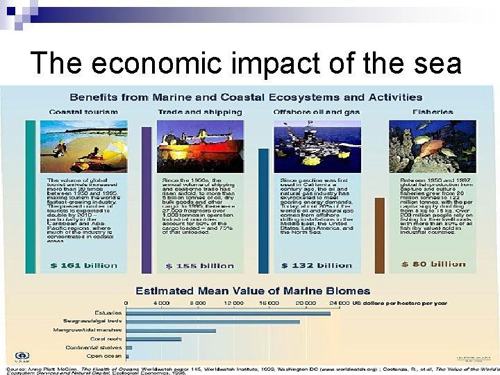 The economic impact of the sea 