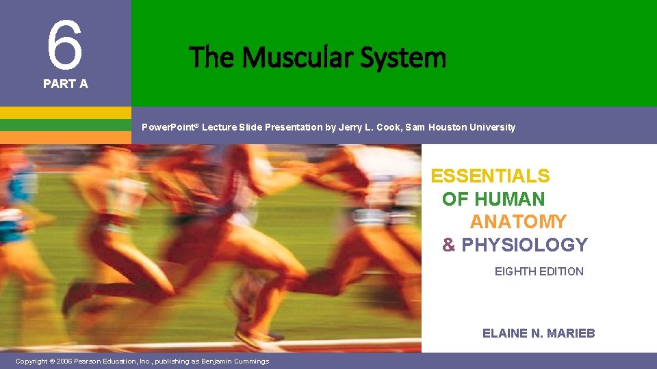 6 The Muscular System PART A Power. Point® Lecture Slide Presentation by Jerry L.