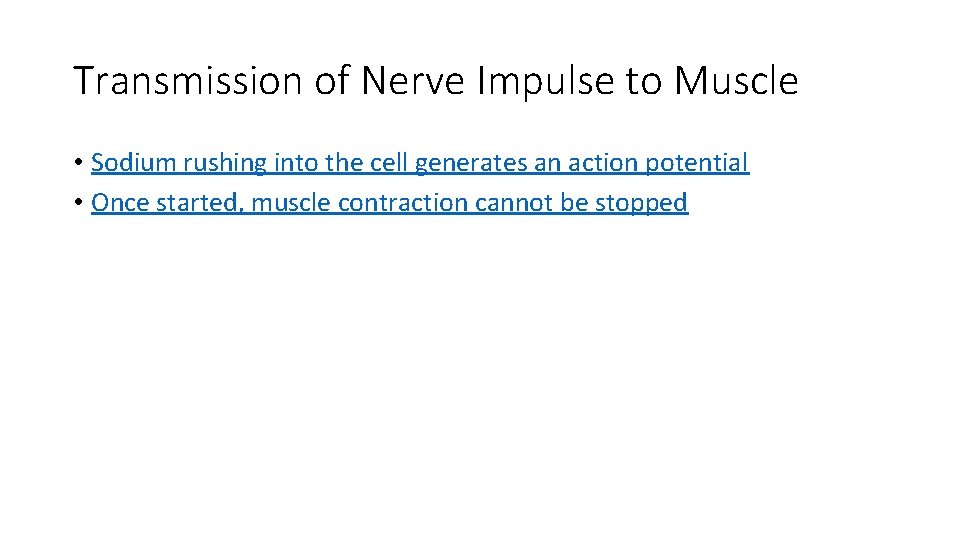 Transmission of Nerve Impulse to Muscle • Sodium rushing into the cell generates an