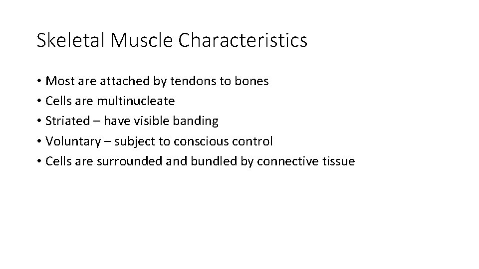 Skeletal Muscle Characteristics • Most are attached by tendons to bones • Cells are