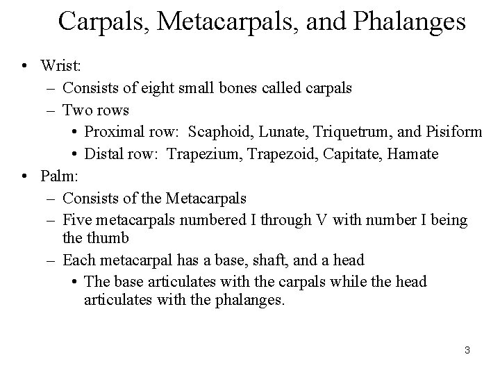 Carpals, Metacarpals, and Phalanges • Wrist: – Consists of eight small bones called carpals