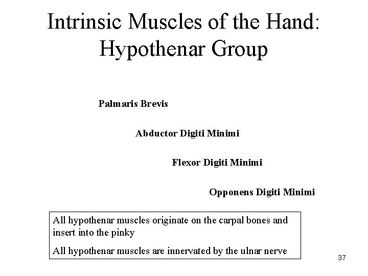 Intrinsic Muscles of the Hand: Hypothenar Group Palmaris Brevis Abductor Digiti Minimi Flexor Digiti