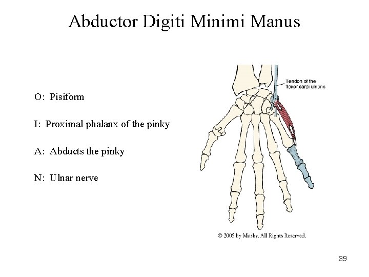 Abductor Digiti Minimi Manus O: Pisiform I: Proximal phalanx of the pinky A: Abducts