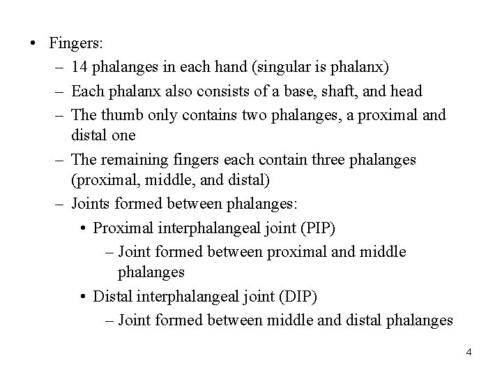  • Fingers: – 14 phalanges in each hand (singular is phalanx) – Each