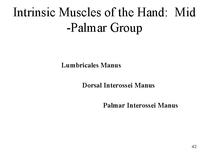 Intrinsic Muscles of the Hand: Mid -Palmar Group Lumbricales Manus Dorsal Interossei Manus Palmar