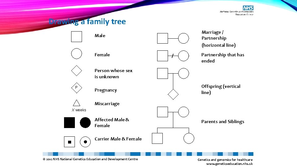 Pedigree Overview I What Is A Pedigree I